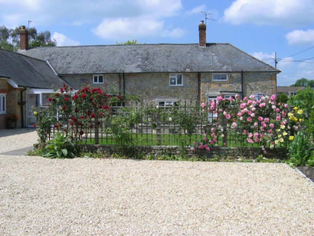 Bed and Breakfast Quiet Woman House Halstock Exterior foto