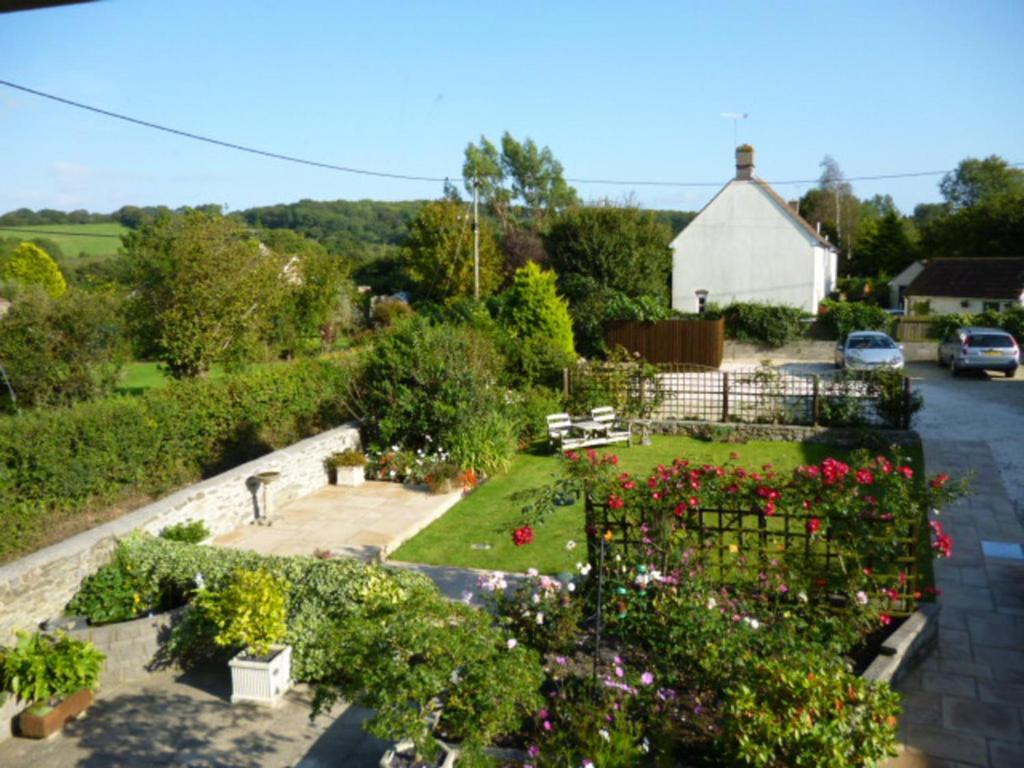 Bed and Breakfast Quiet Woman House Halstock Exterior foto